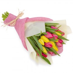 20 tulipanes
